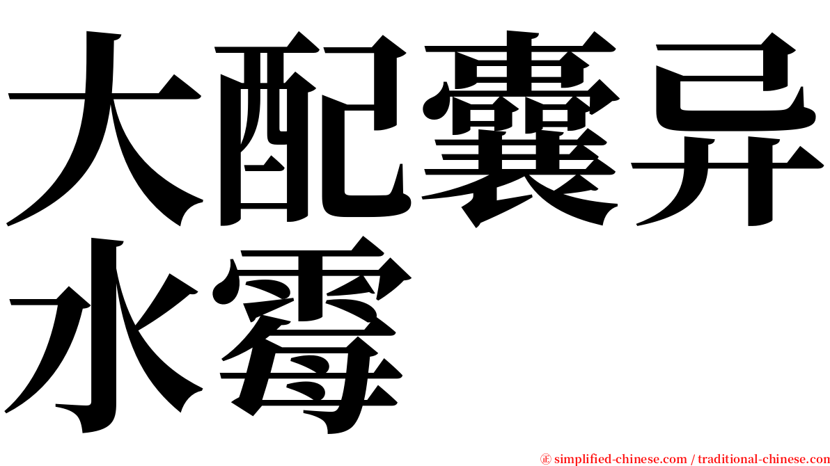 大配囊异水霉 serif font