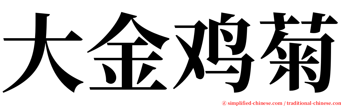 大金鸡菊 serif font