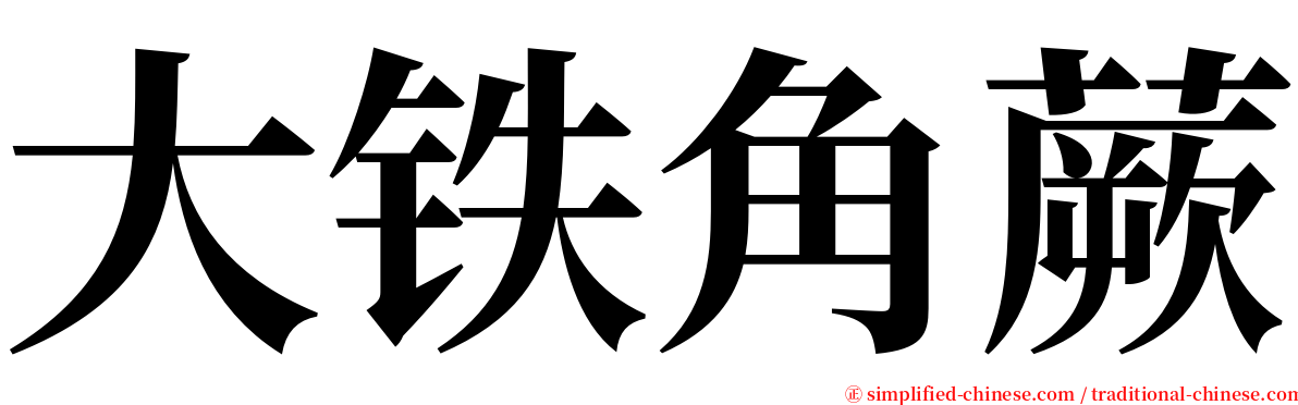 大铁角蕨 serif font