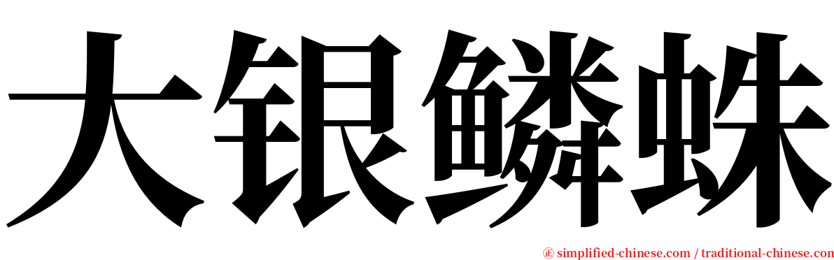 大银鳞蛛 serif font