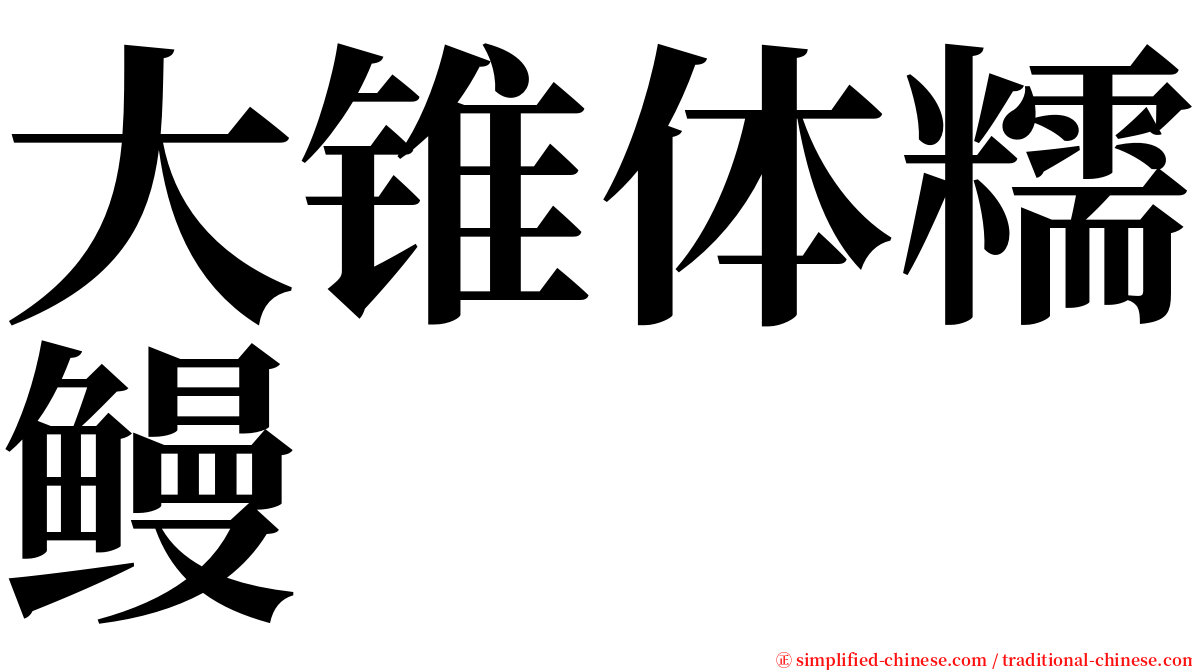 大锥体糯鳗 serif font