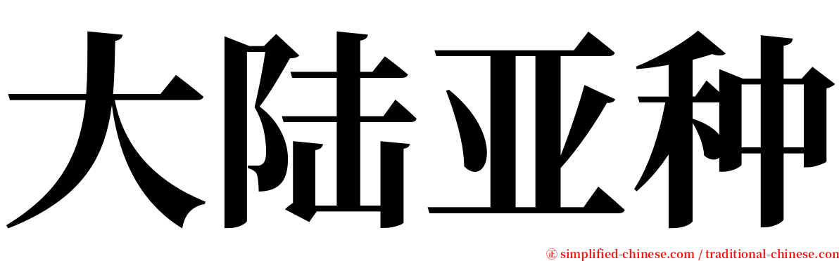 大陆亚种 serif font