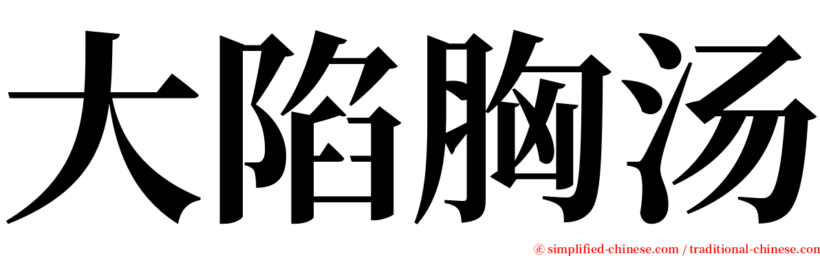 大陷胸汤 serif font