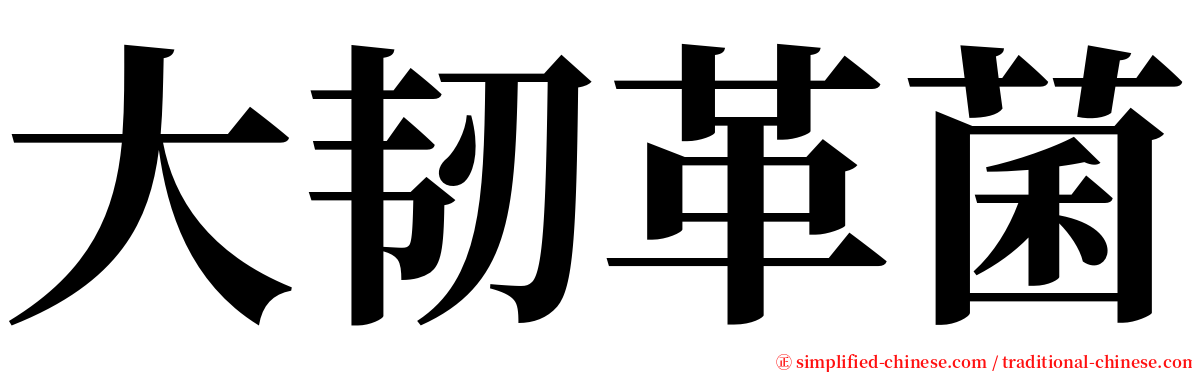 大韧革菌 serif font