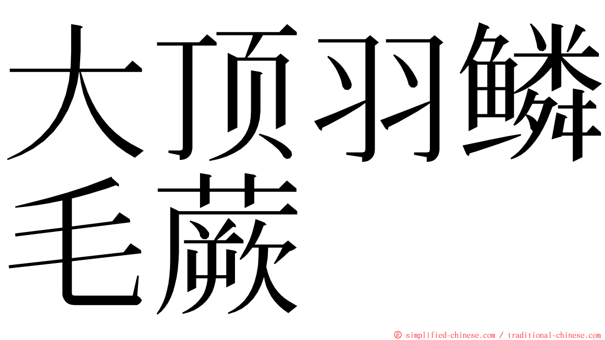 大顶羽鳞毛蕨 ming font