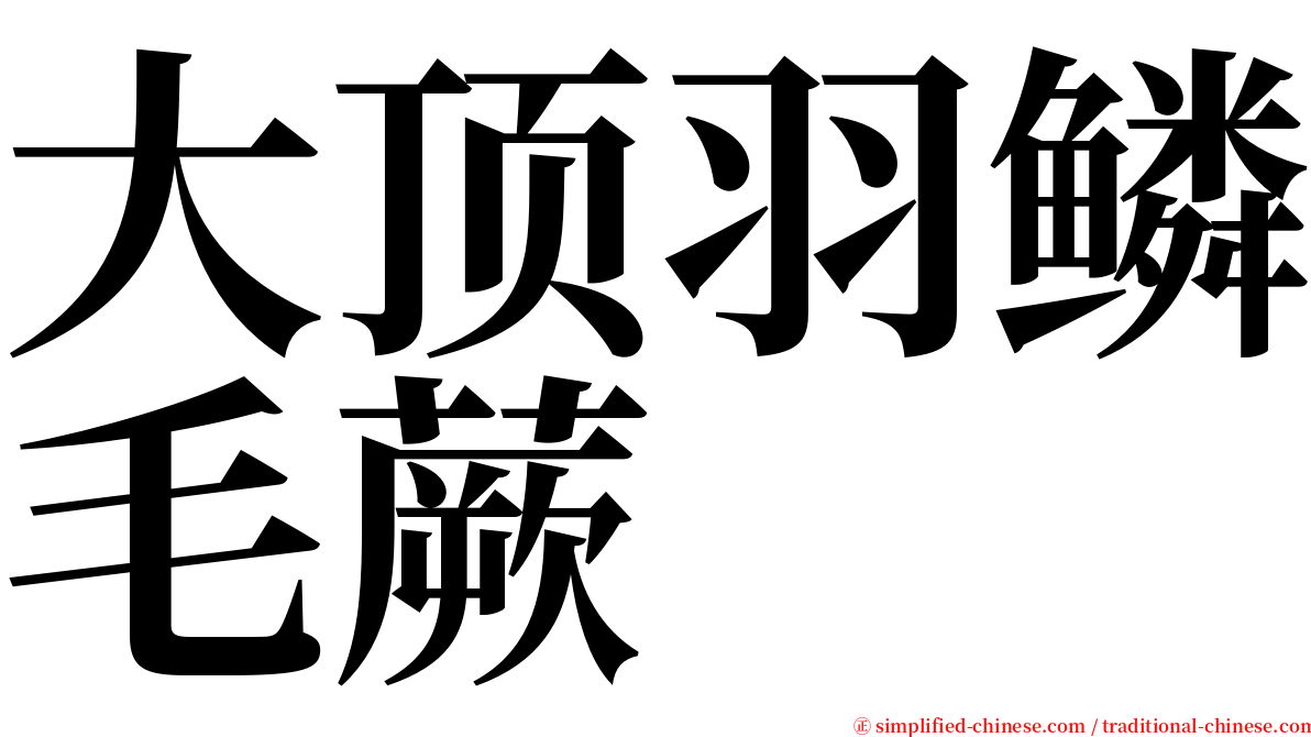 大顶羽鳞毛蕨 serif font