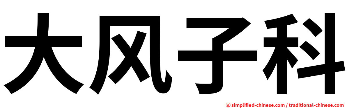 大风子科