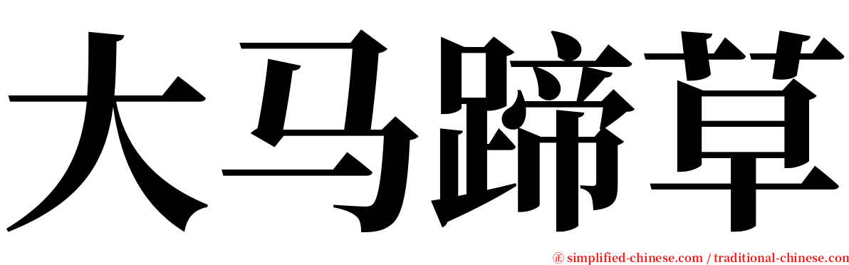 大马蹄草 serif font