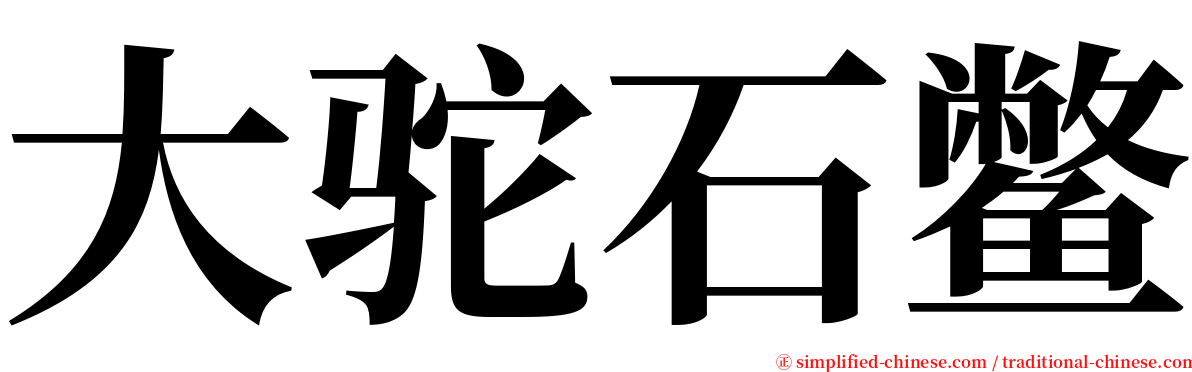 大驼石鳖 serif font