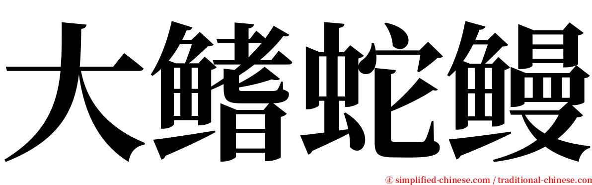 大鳍蛇鳗 serif font