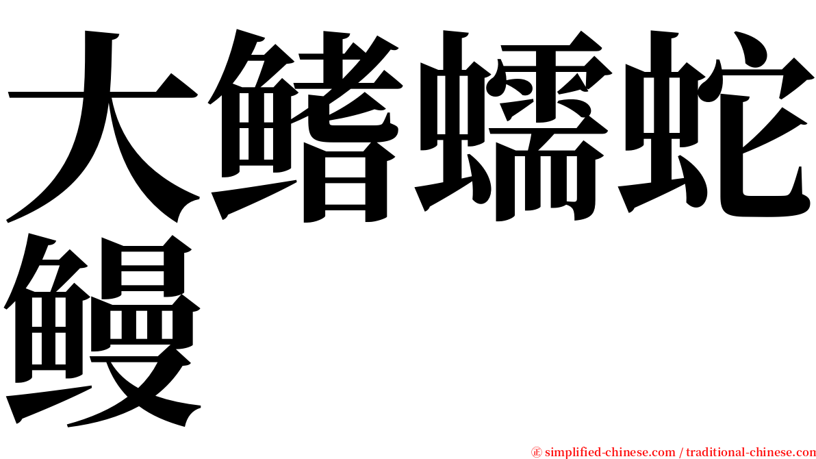 大鳍蠕蛇鳗 serif font