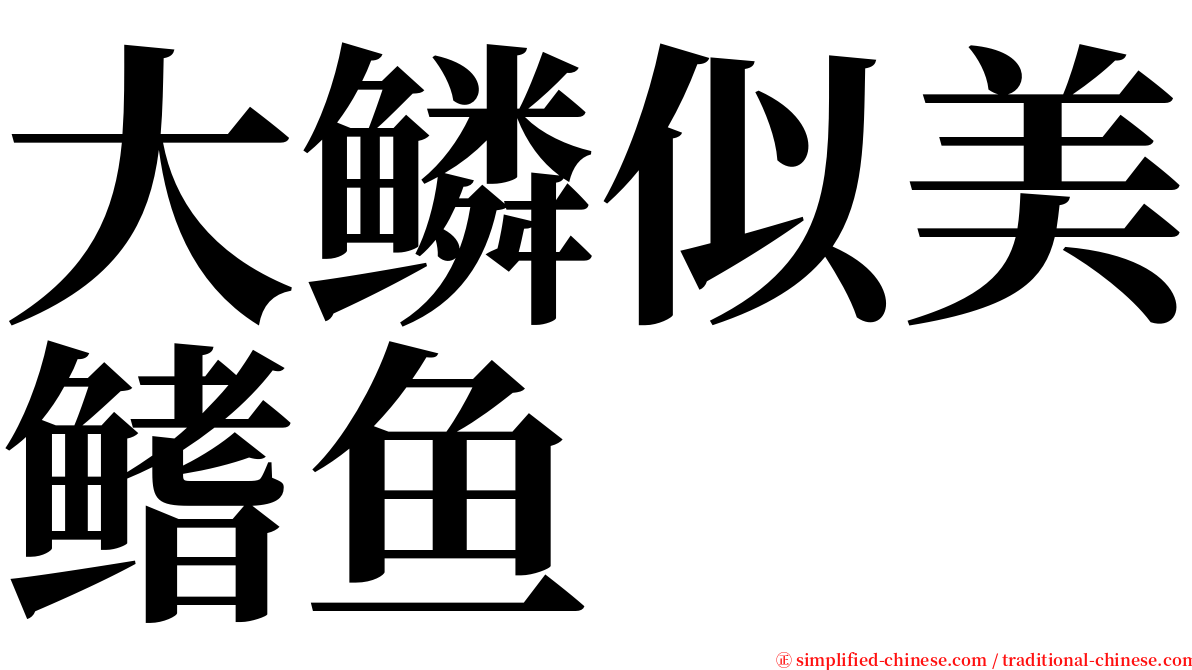 大鳞似美鳍鱼 serif font