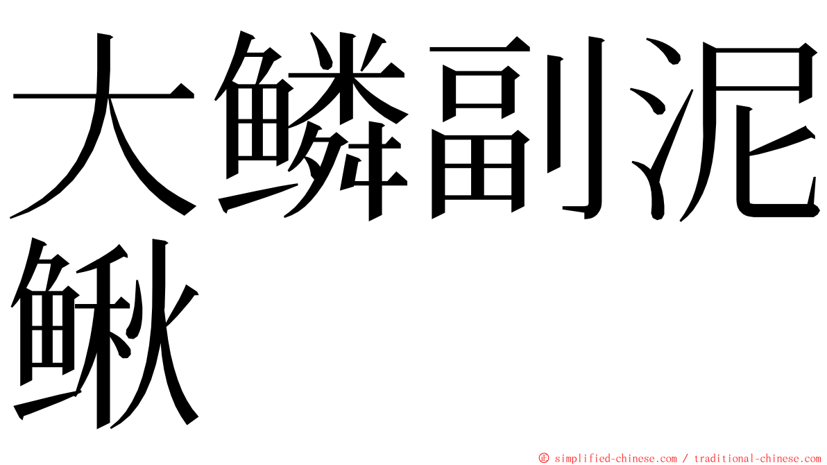 大鳞副泥鳅 ming font