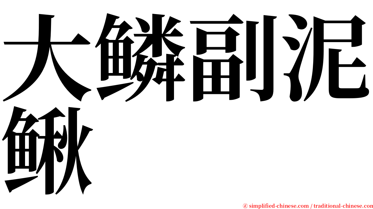 大鳞副泥鳅 serif font