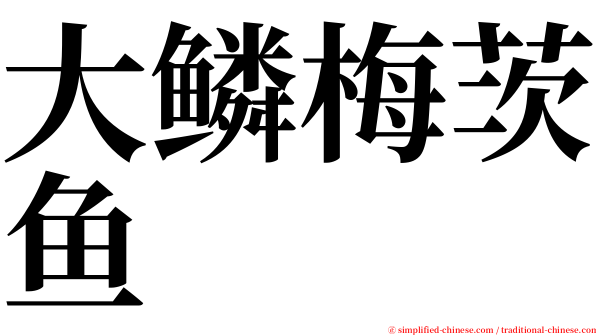 大鳞梅茨鱼 serif font