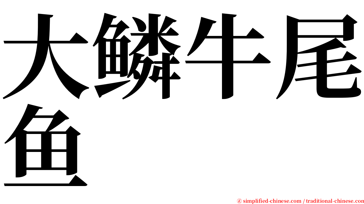 大鳞牛尾鱼 serif font