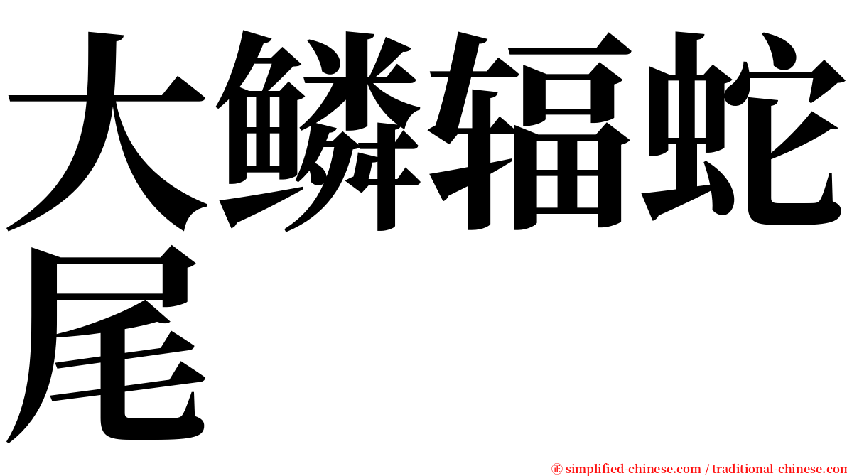 大鳞辐蛇尾 serif font