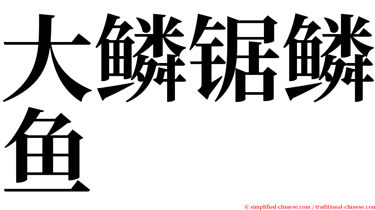 大鳞锯鳞鱼 serif font