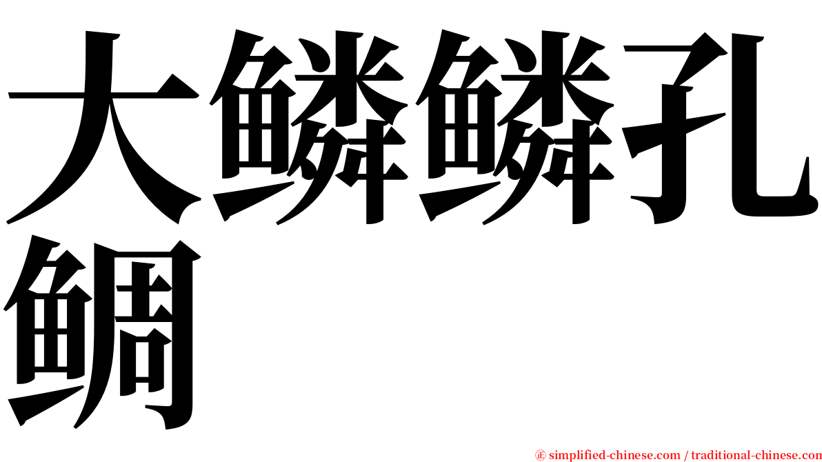 大鳞鳞孔鲷 serif font