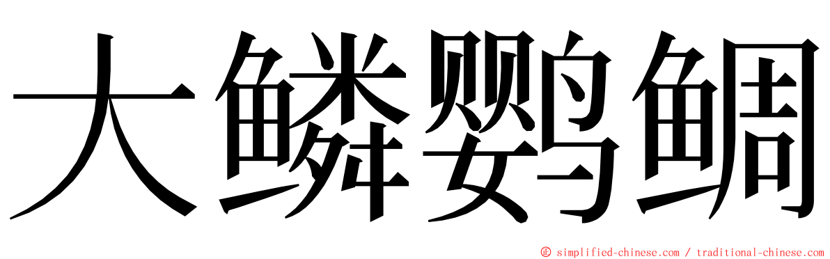 大鳞鹦鲷 ming font