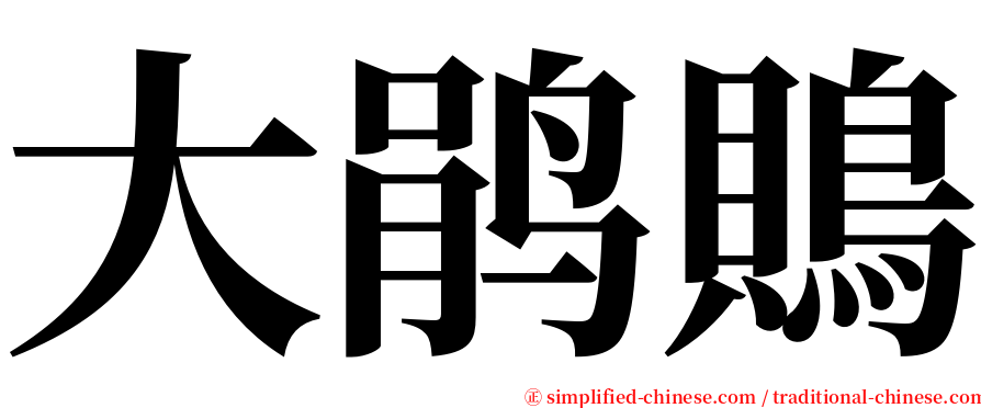 大鹃鵙 serif font