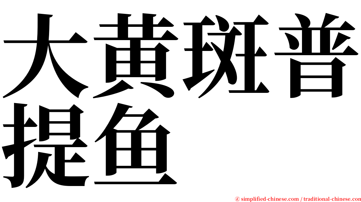 大黄斑普提鱼 serif font