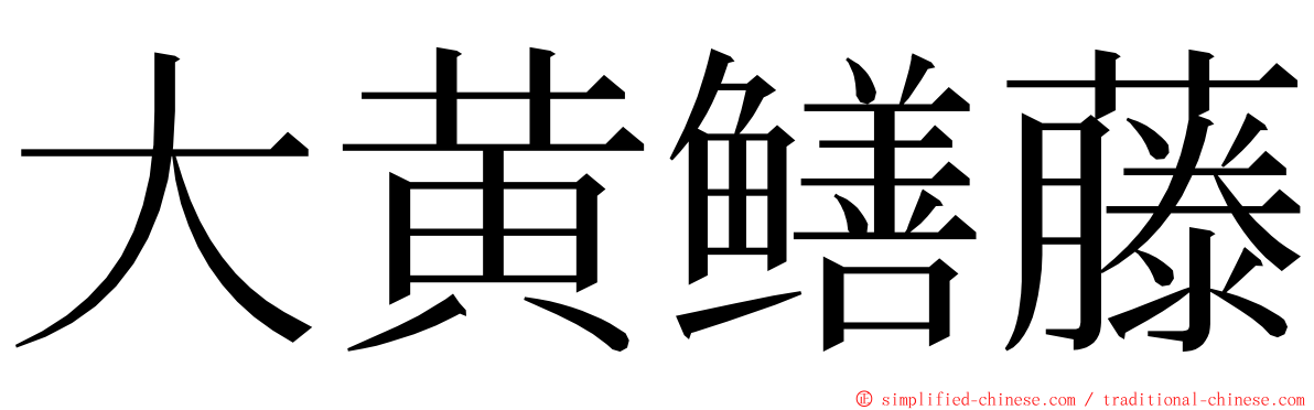 大黄鳝藤 ming font