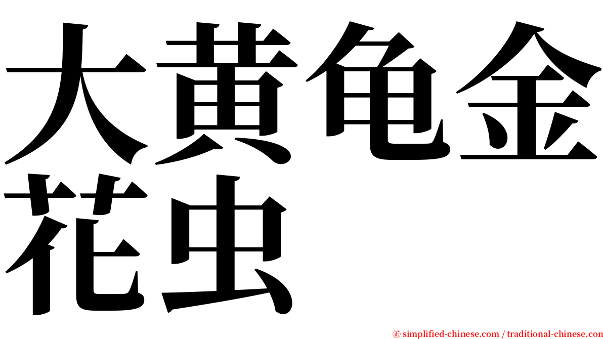 大黄龟金花虫 serif font