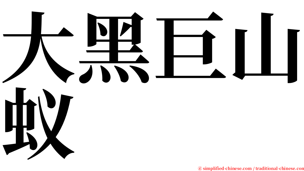 大黑巨山蚁 serif font