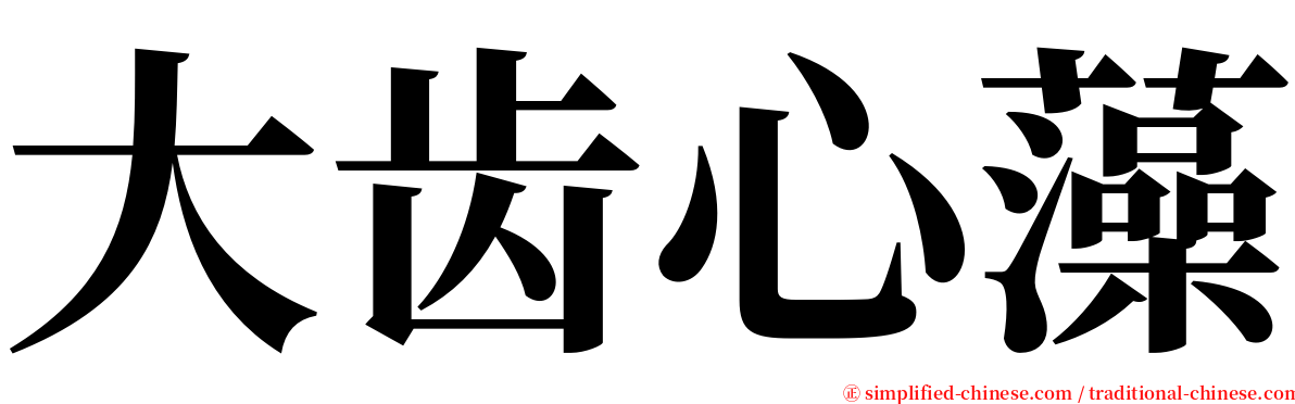 大齿心藻 serif font