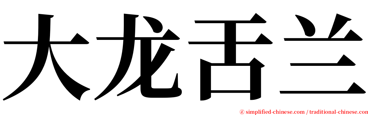 大龙舌兰 serif font