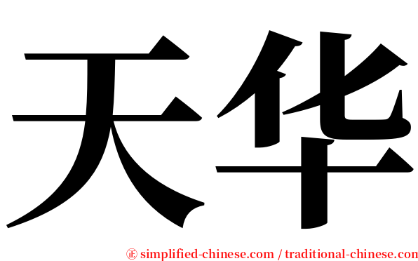 天华 serif font