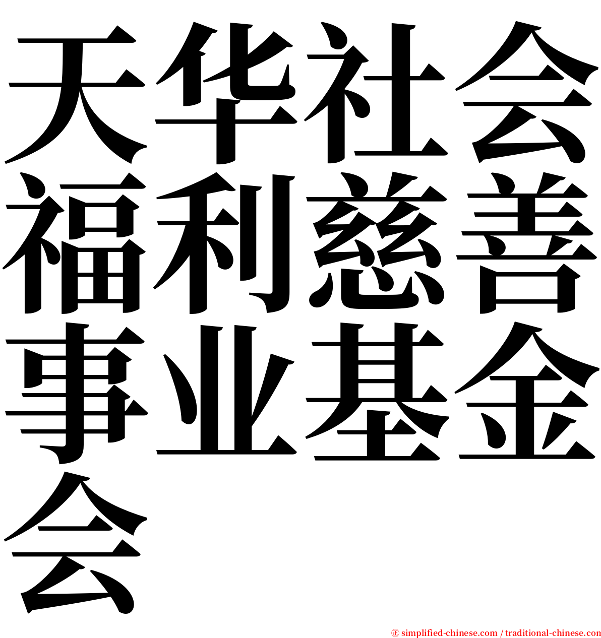 天华社会福利慈善事业基金会 serif font