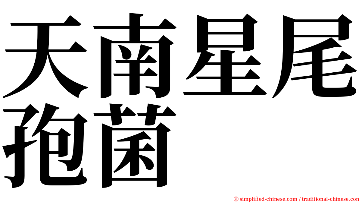 天南星尾孢菌 serif font