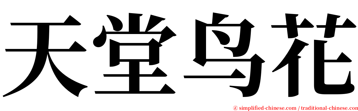 天堂鸟花 serif font