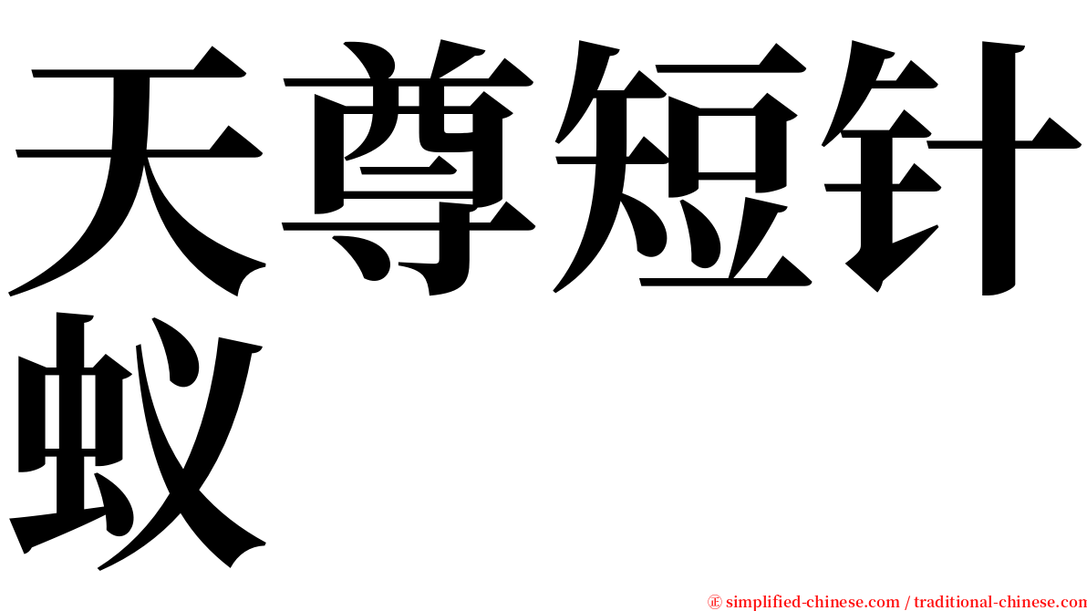 天尊短针蚁 serif font