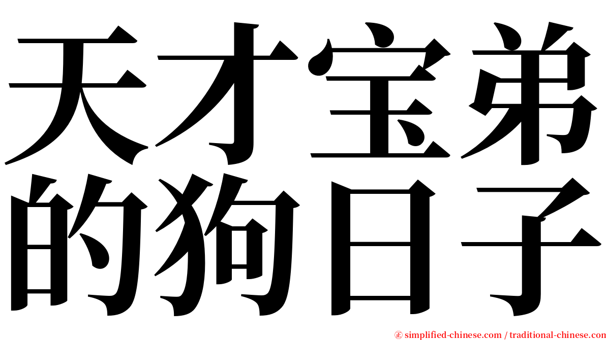 天才宝弟的狗日子 serif font