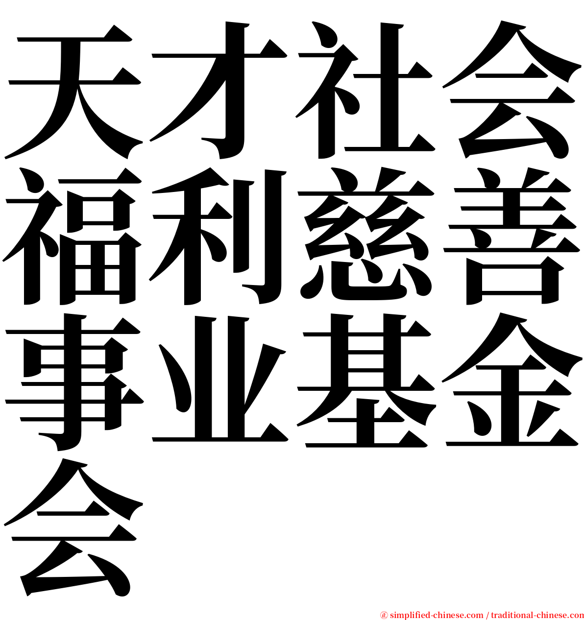 天才社会福利慈善事业基金会 serif font