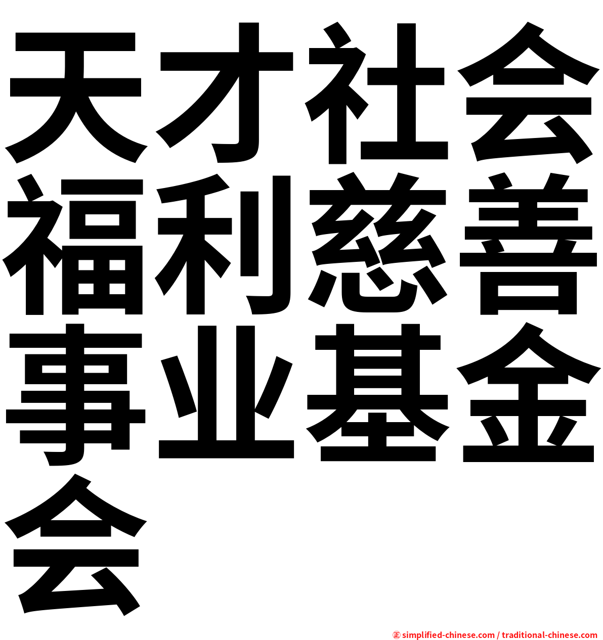 天才社会福利慈善事业基金会