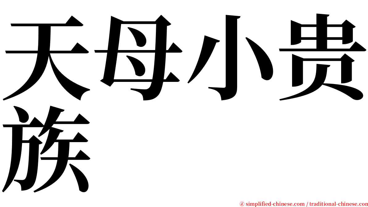 天母小贵族 serif font