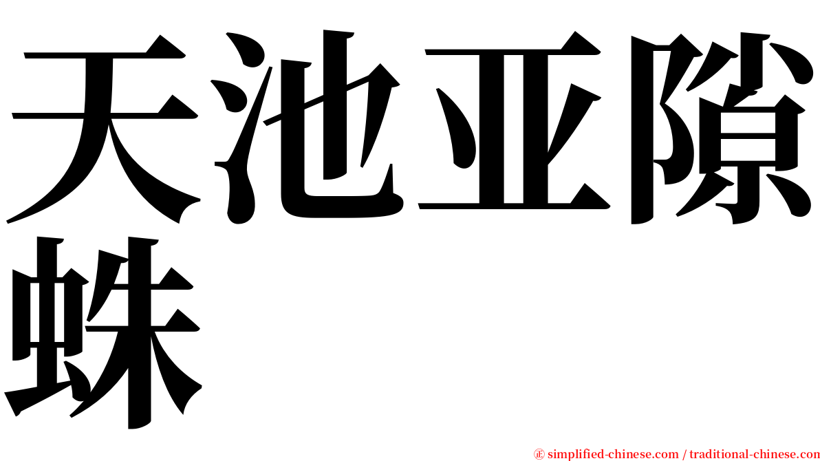 天池亚隙蛛 serif font