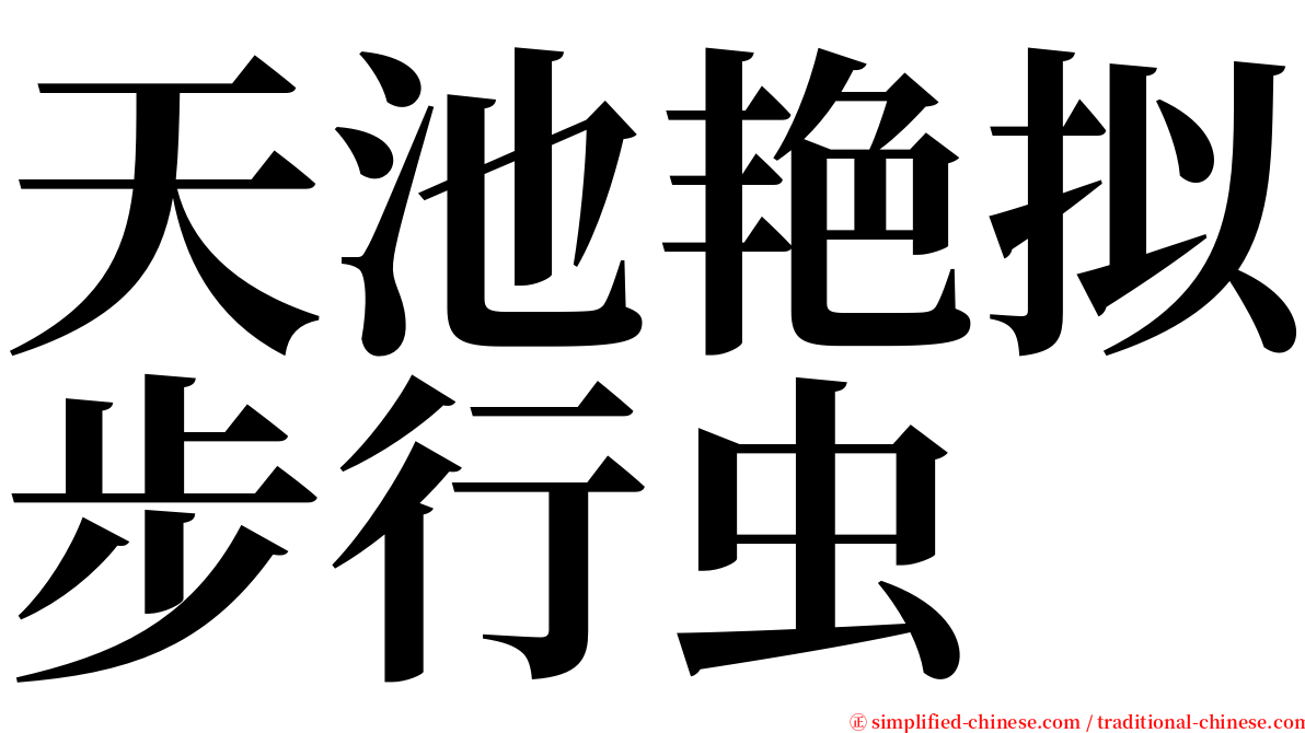 天池艳拟步行虫 serif font