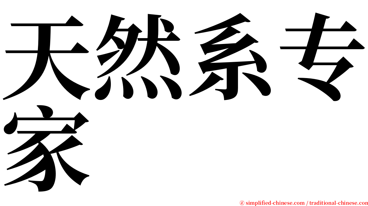 天然系专家 serif font