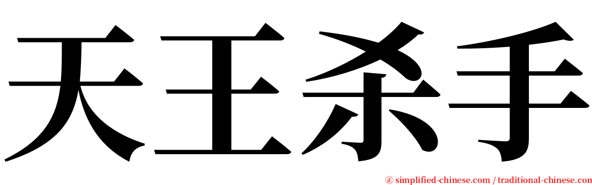 天王杀手 serif font