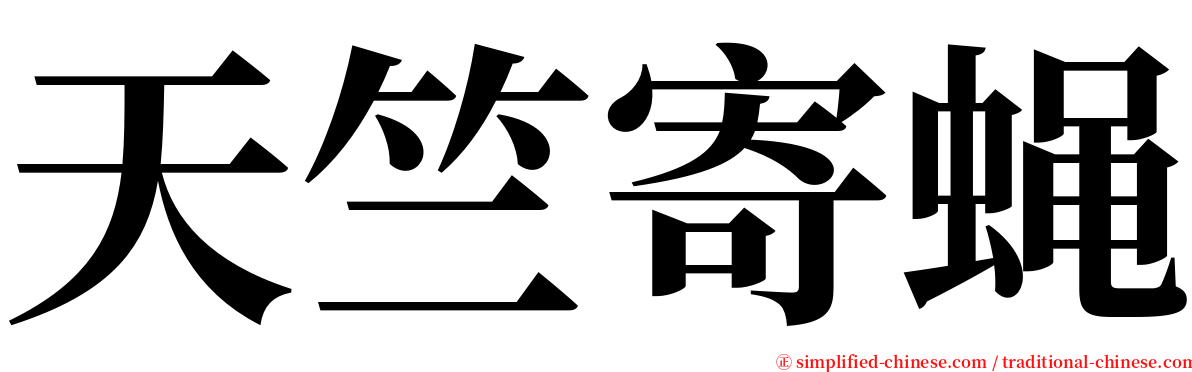 天竺寄蝇 serif font