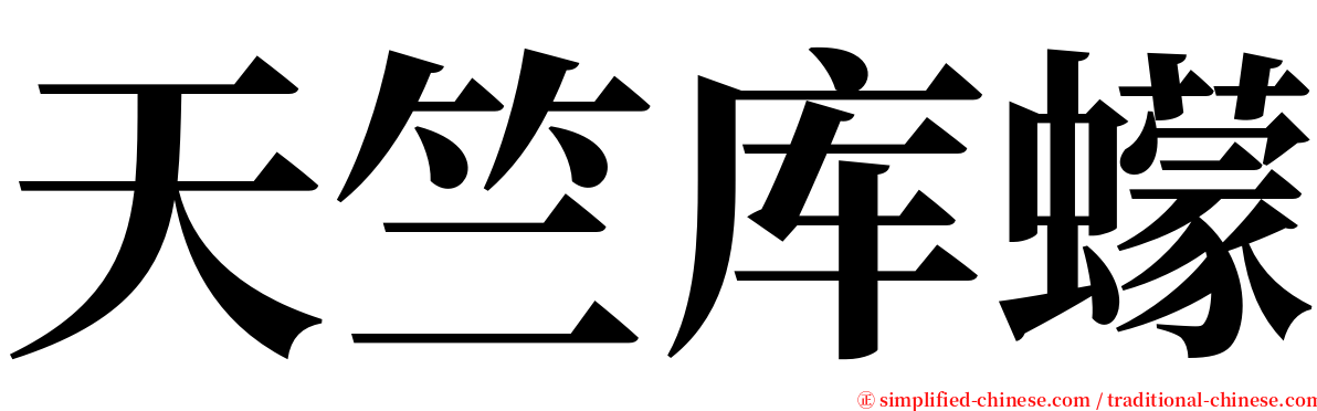 天竺库蠓 serif font