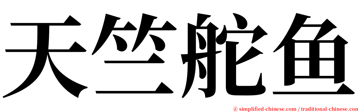 天竺舵鱼 serif font