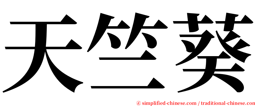 天竺葵 serif font