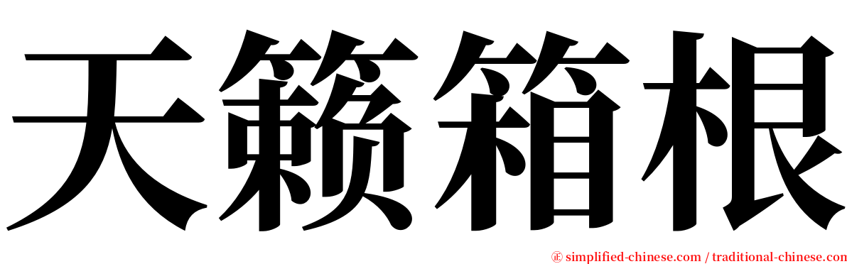 天籁箱根 serif font