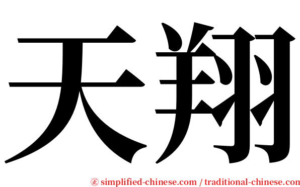 天翔 serif font